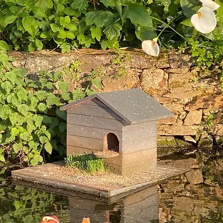 Le Celadon 4* מונטגו