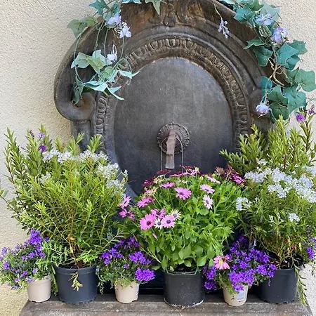 בית הארחה Le Celadon