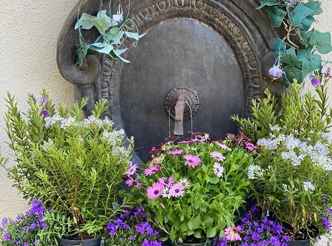 Maison d'hôtes Le Celadon