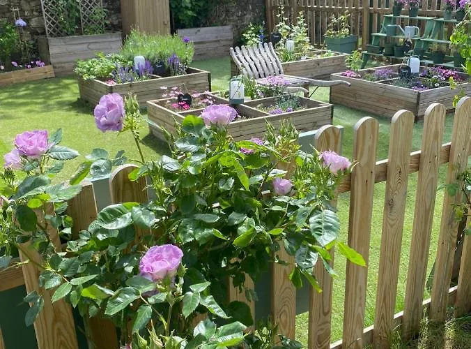 Maison d'hôtes Le Celadon Montaigu-Vendee
